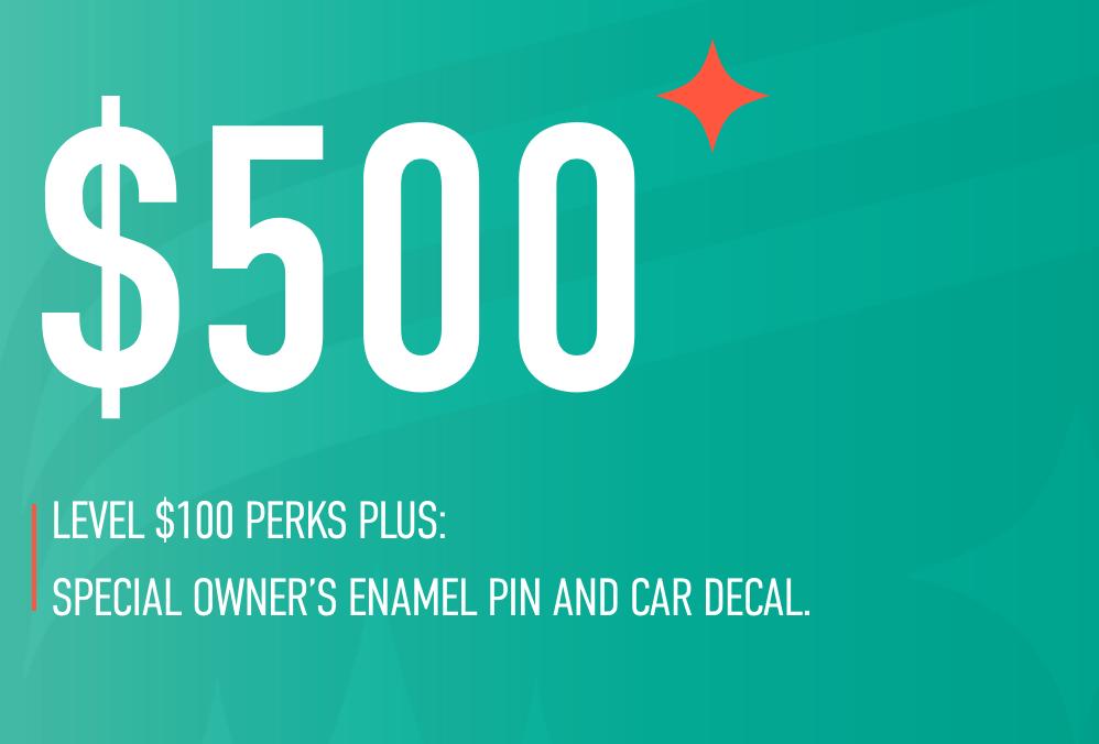 $500
perks: level $100 perks plus special owners enamel pin and car decal